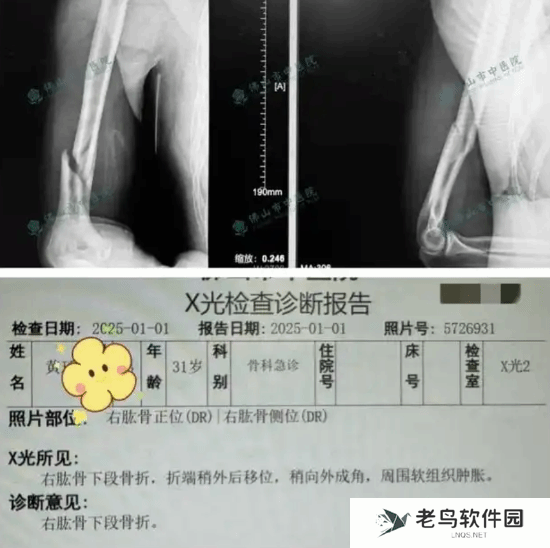 本站