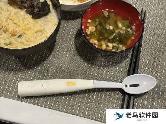 日本公司发明咸味勺子：不放盐就能尝到味道 130美元