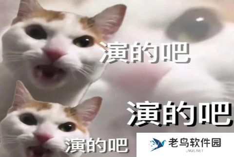 网络用语演的吧是什么梗