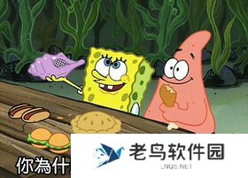 你为什么不问问神奇海螺呢是什么梗网络用语-你为什么不问问神奇海螺呢梗意思及出处分享