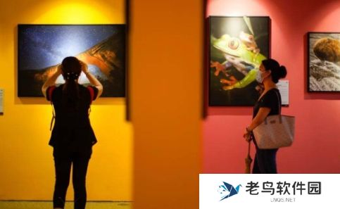 看展式社交是什么梗网络用语-看展式社交梗意思及出处分享