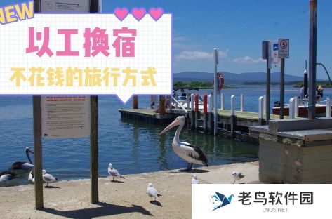 换宿旅行是什么梗网络用语-换宿旅行梗意思及出处分享 换宿旅行是什么梗网络用语-换宿旅行梗意思及出处分享