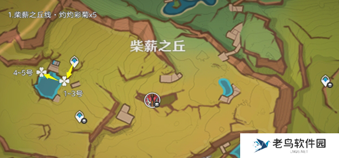 原神灼灼彩菊哪里多-灼灼彩菊采集路线介绍