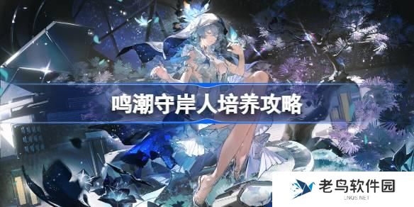 鸣潮守岸人怎么培养-守岸人最佳培养推荐