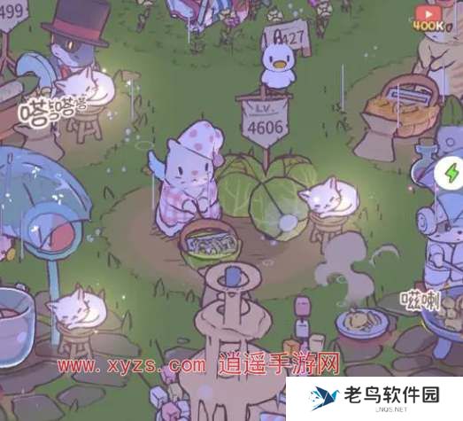 猫咪和汤微信小程序和app数据能互通吗 猫咪和汤微信小程序和app数据能互通吗