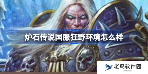 炉石传说国服狂野环境怎么样-国服回归狂野环境介绍