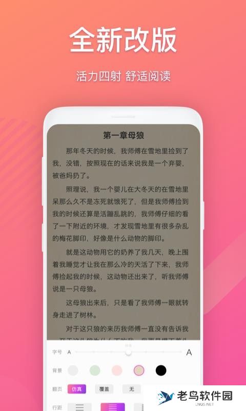 布偶免费小说