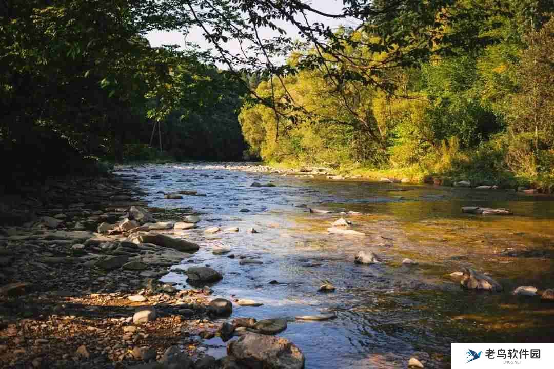 外国人大量涌入,