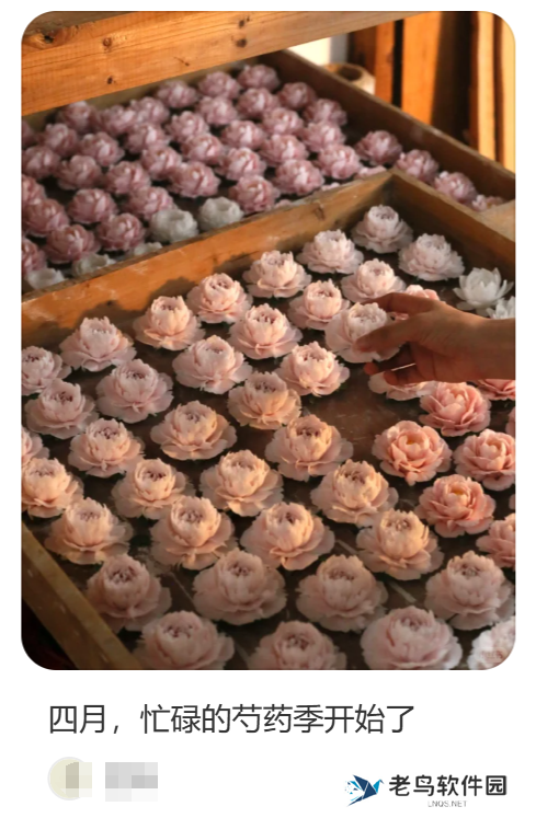 在小红书做新香氛品牌,三个月引流转化百万GMV