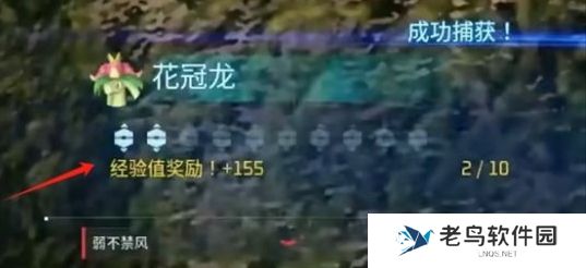 幻兽帕鲁捕捉奖励在哪领