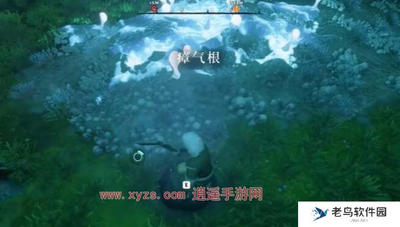 雾锁王国瘴气木材采集攻略