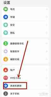 荣耀手机图标放大怎么弄