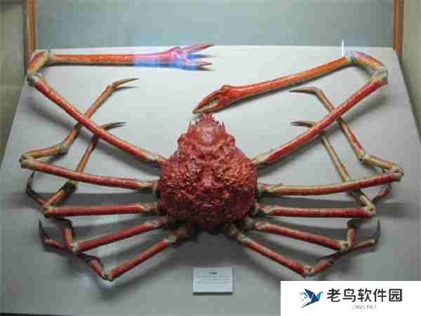 神奇海洋2月19日今日答案2025