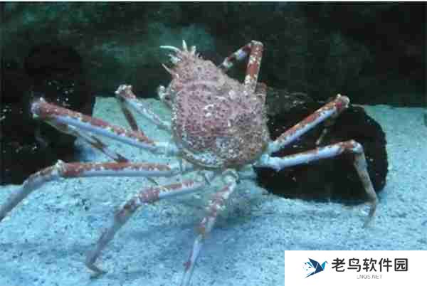 神奇海洋2月19日今日答案2025