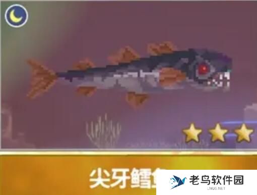 潜水员戴夫渔帆暗涌新增鱼类