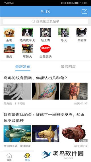 宠物之家
