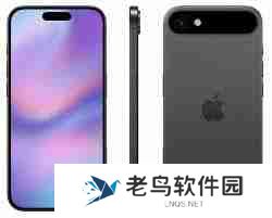 苹果十七的图片