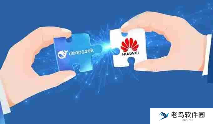 deepseek满血版是什么意思