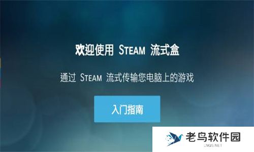 Steam link