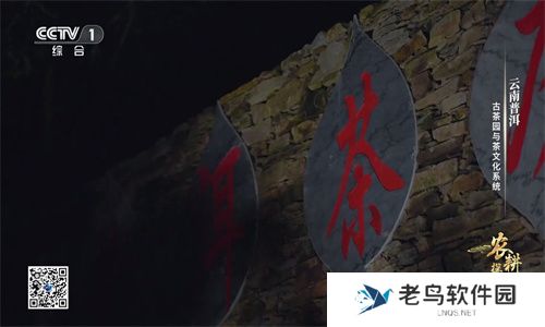 我的电视最新版本