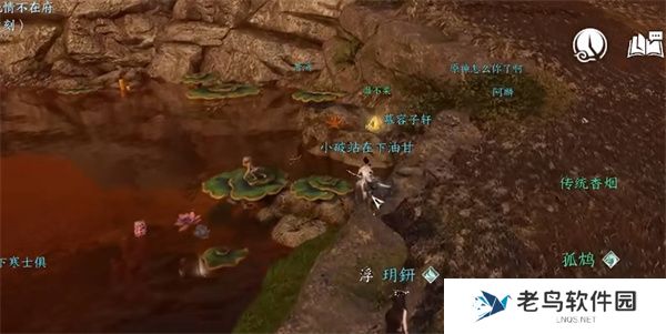 逆水寒手游仙居原琥珀位置大全