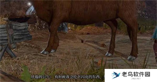 博德之门3公牛对话小袋子怎么获得的