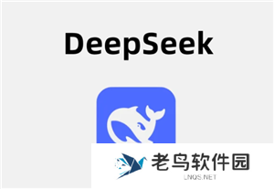 deepSeek在线服务会导致数据泄露吗 deepSeek在线使用与api使用区别