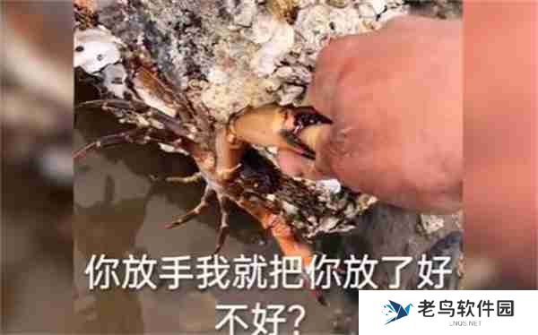 抖音放生了吧是什么梗