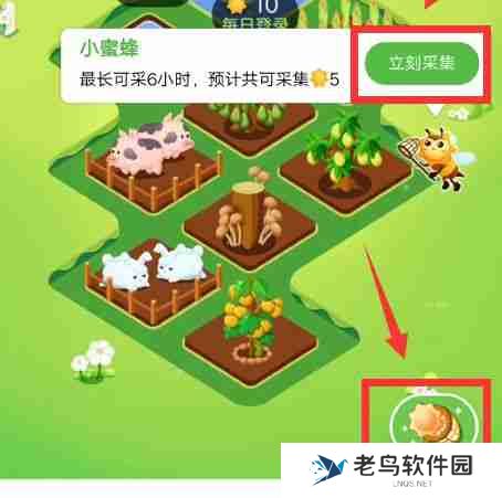 芭芭农场怎么采集阳光