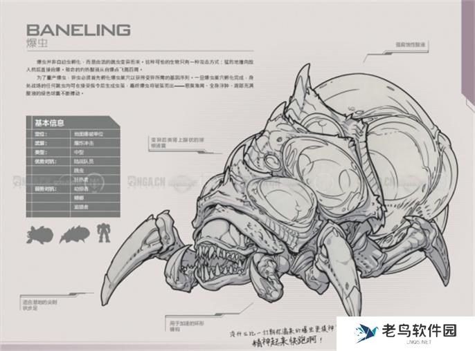 星际争霸2兵种图鉴大全图八