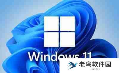 win11网页版入口_win11网页版官网网址