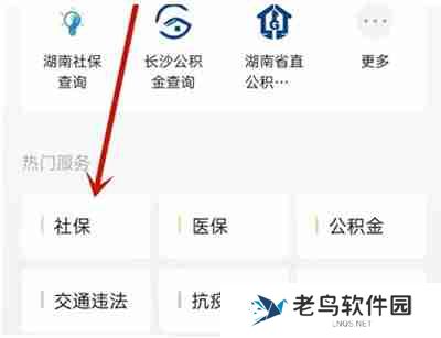 微信怎么查询参保信息