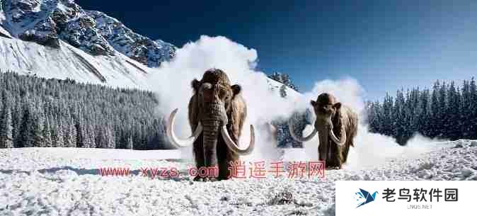 sora怎么使用