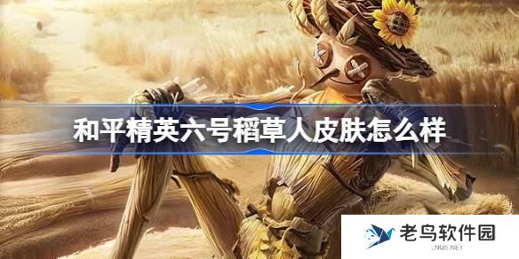和平精英六号稻草人怎么样 和平精英六号稻草人皮肤价格